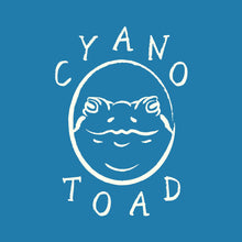 Lade das Bild in den Galerie-Viewer, Workshop: Cyanotypie | 25. April 2026, 10:30 Uhr